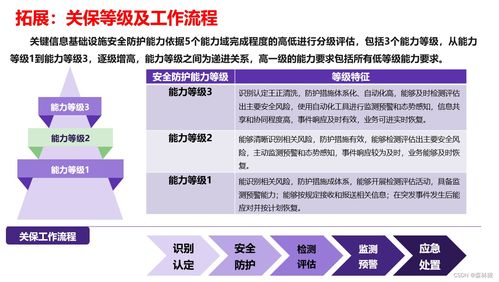 信息系統(tǒng)網(wǎng)絡安全方案 三保一評與專業(yè)軟件開發(fā)策略